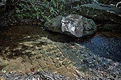 Kbal Spean, called also River of the Thousand Lingam, the riverbed and banks have been graven with linga and various sacred images of hindu divinities 